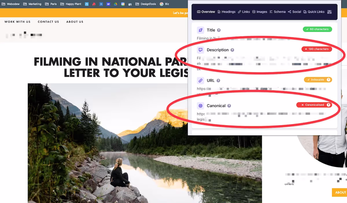 Webflow SEO analysis audit